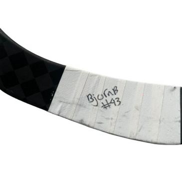 Stick  I  Bjorn Borgman