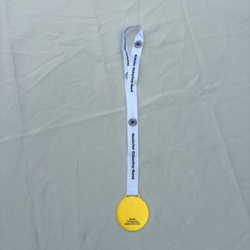 Oberliga Nord Meister medaille